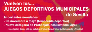 http://imd.sevilla.org/juegos-deportivos-sevilla