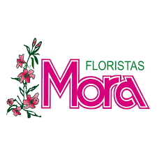 FLORES MORA